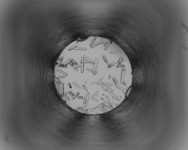 X0000092330474200710121537