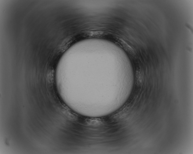 X0000092330475200710121538