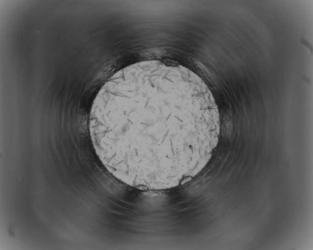 X0000092330477200710121538