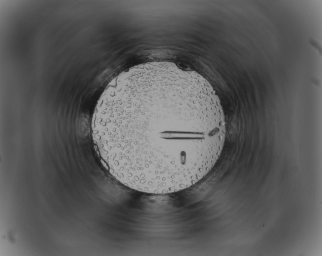X0000092330478200710121538