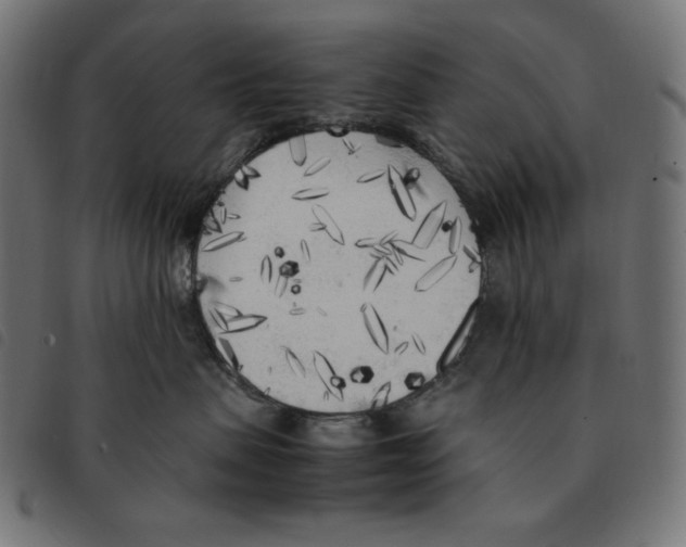 X0000092330479200710121538