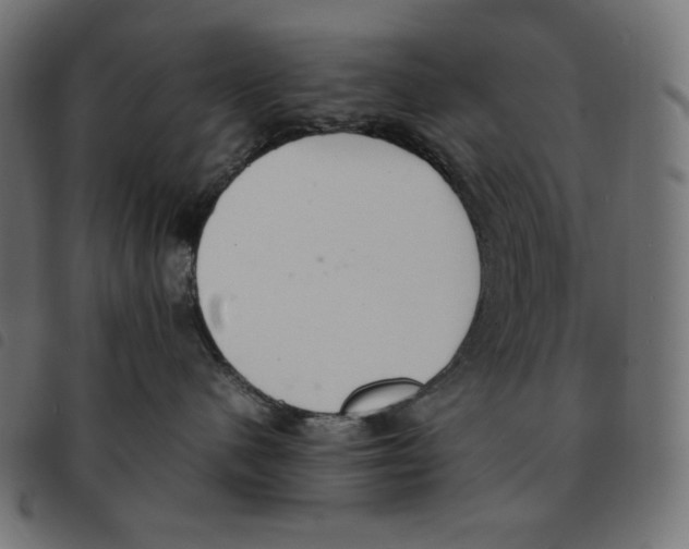 X0000092330480200710121538