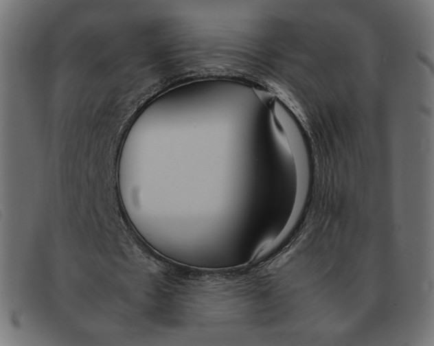 X0000092330481200710121537