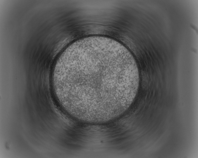 X0000092330482200710121537