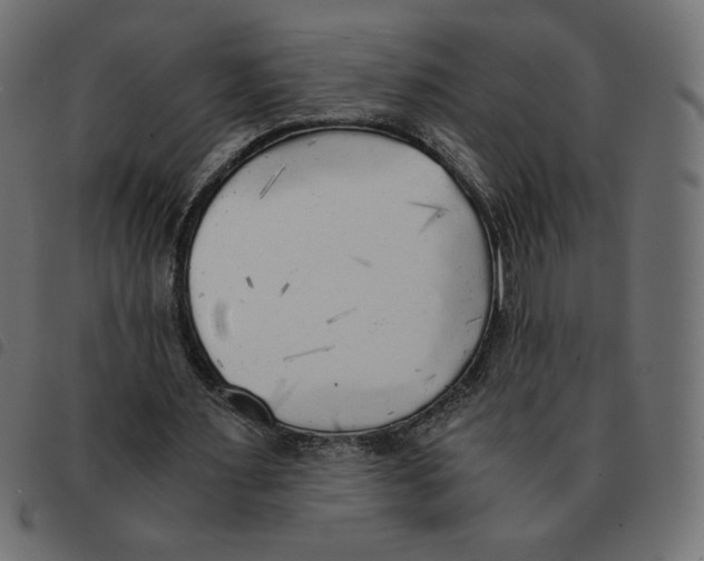 X0000092330483200710121537