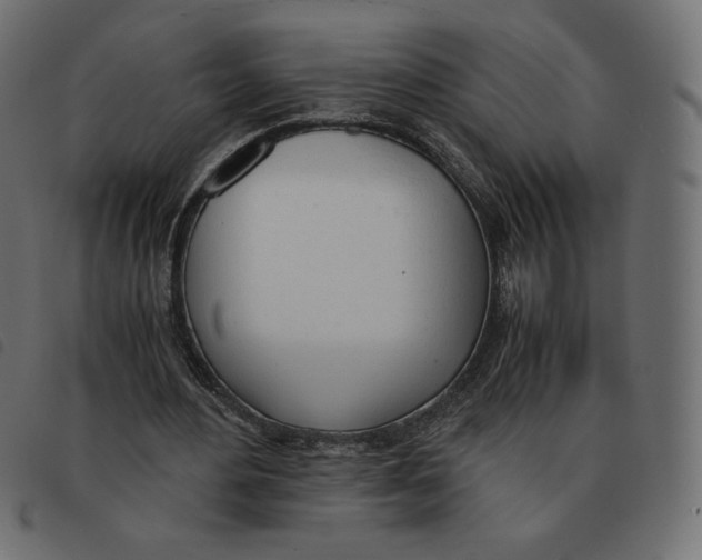 X0000092330484200710121537