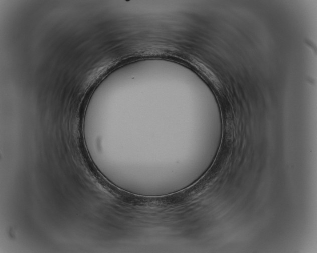 X0000092330485200710121537