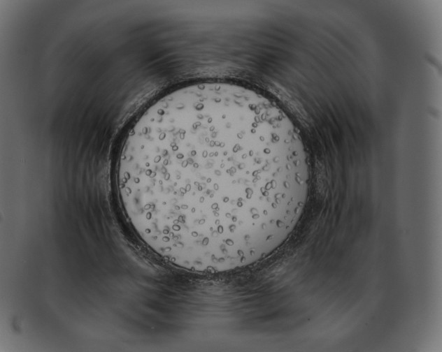 X0000092330486200710121537