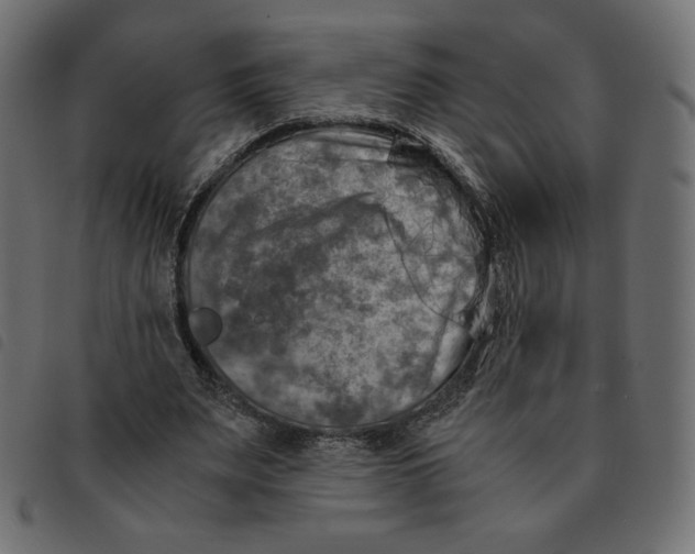 X0000092330487200710121537