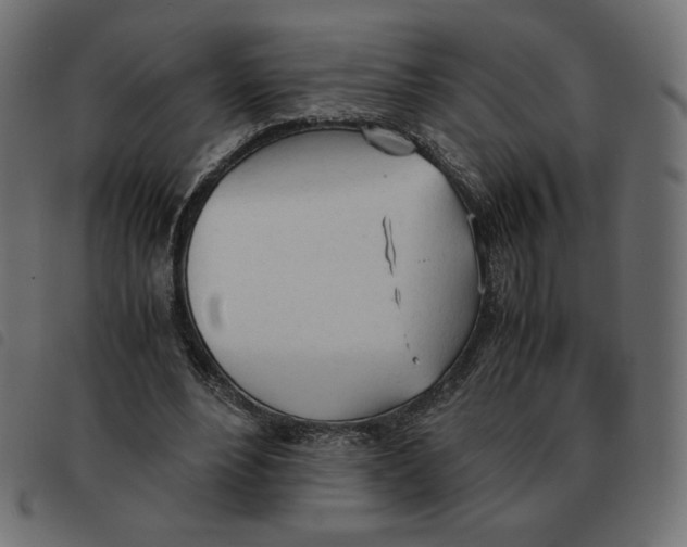 X0000092330488200710121537