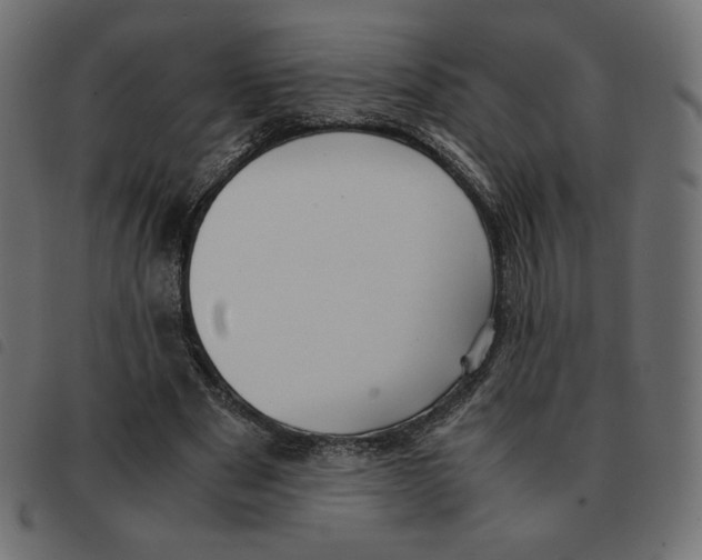 X0000092330489200710121537