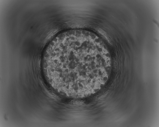 X0000092330491200710121537