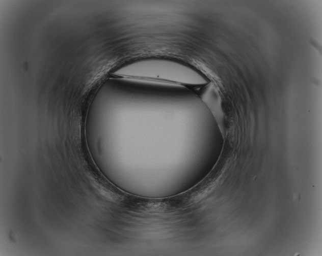 X0000092330493200710121537