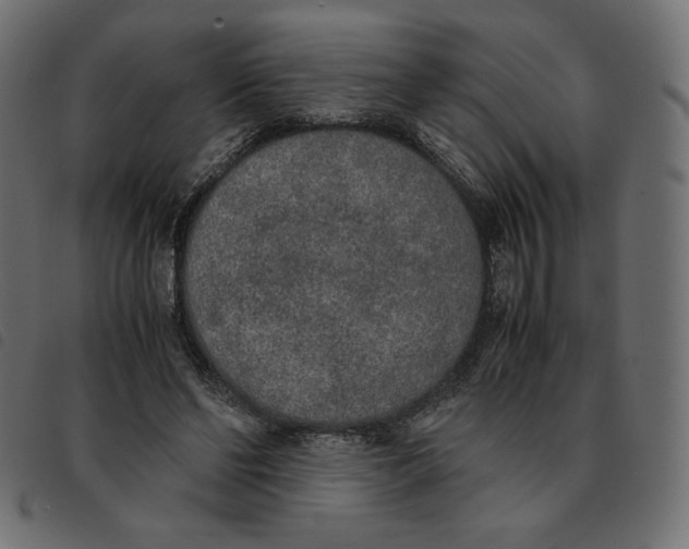 X0000092330494200710121537