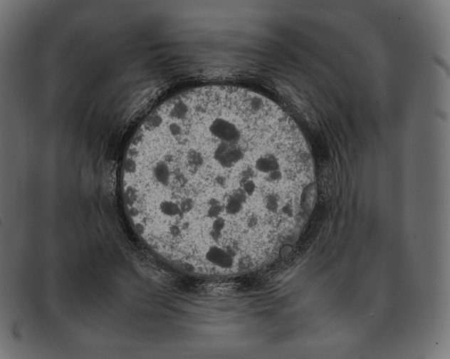 X0000092330495200710121537