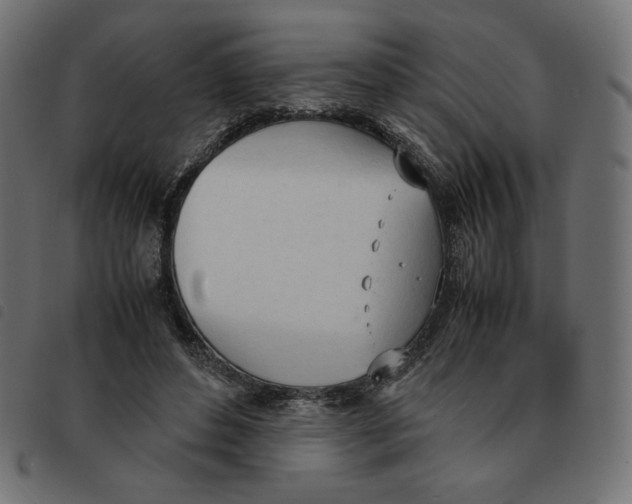 X0000092330496200710121537