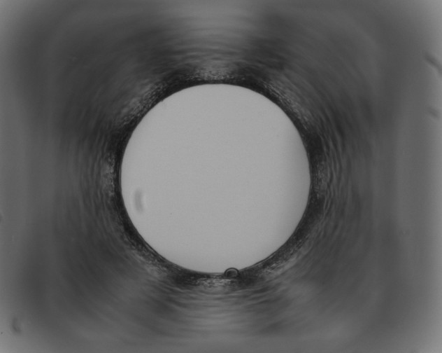 X0000092330497200710121537