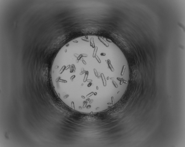 X0000092330498200710121537