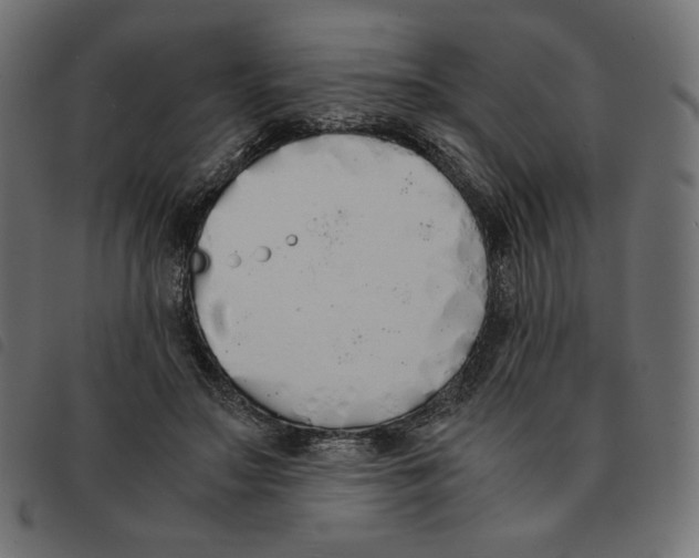 X0000092330499200710121537