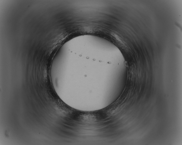 X0000092330500200710121537