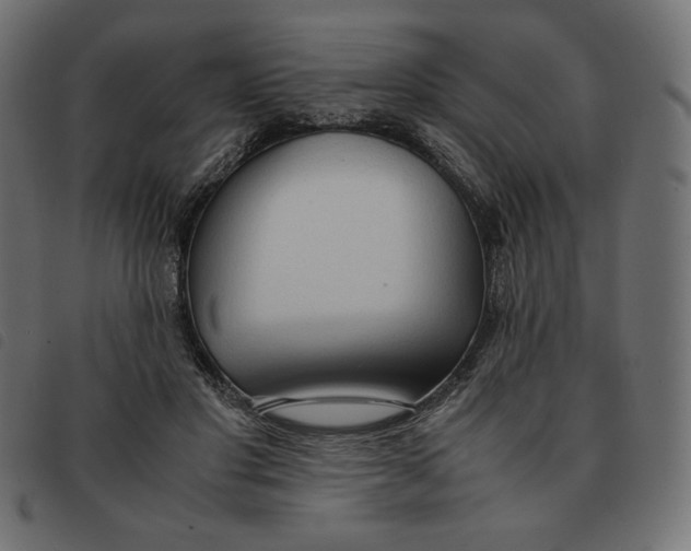 X0000092330501200710121537