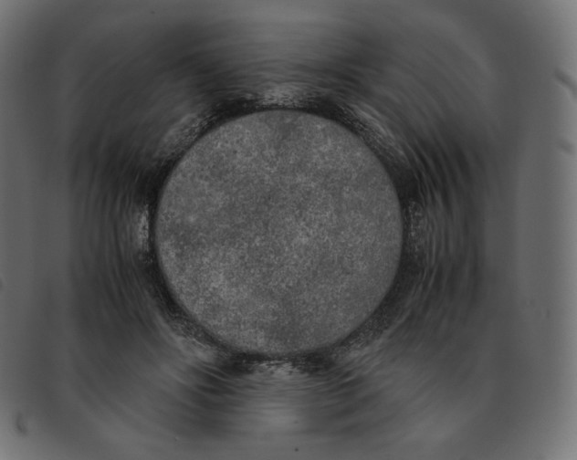 X0000092330502200710121537