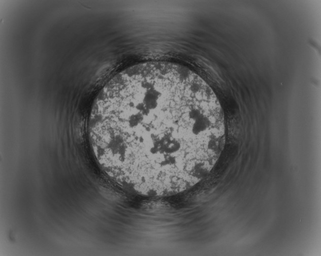 X0000092330503200710121537