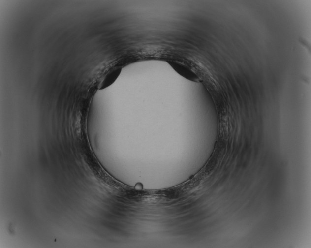 X0000092330504200710121537