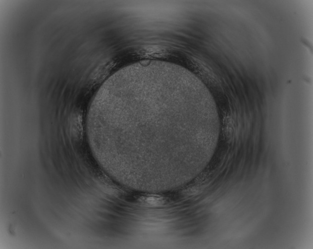 X0000092330506200710121537