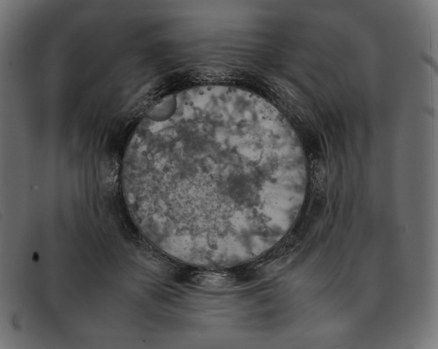 X0000092330507200710121537