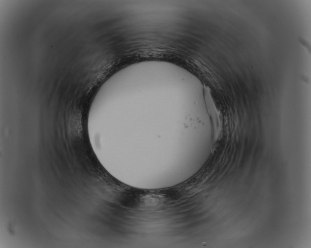 X0000092330508200710121537