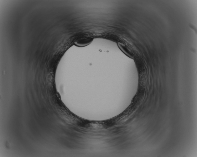 X0000092330509200710121537