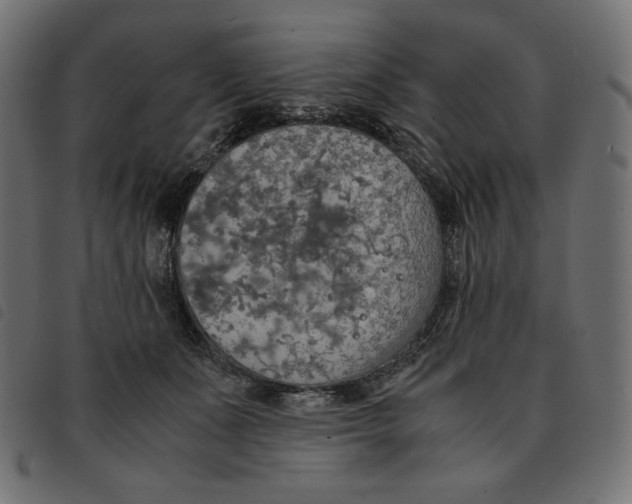 X0000092330511200710121537