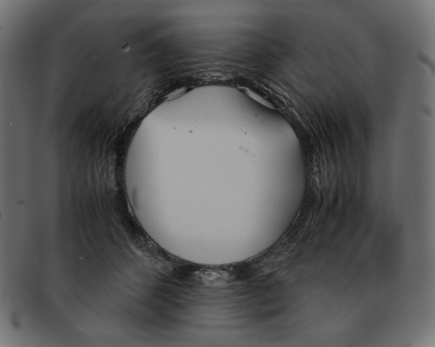X0000092330512200710121536