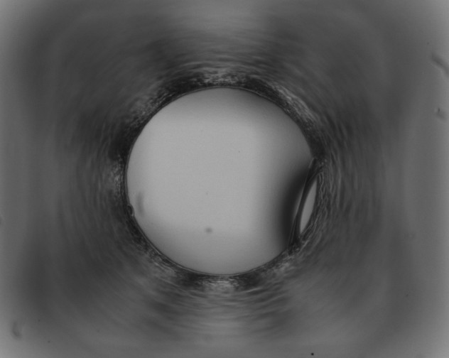 X0000092330513200710121536