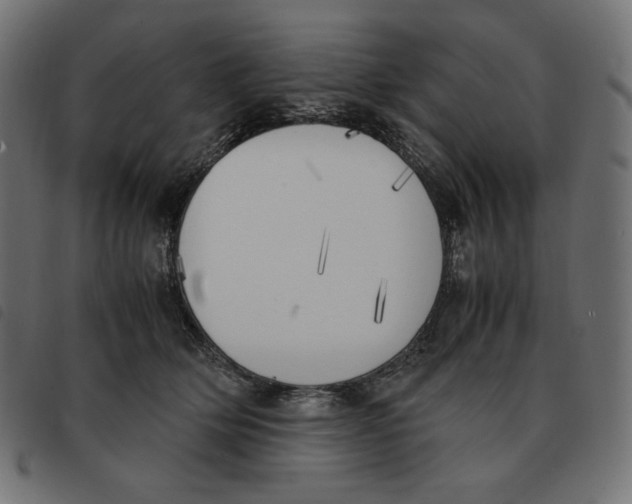 X0000092330514200710121536