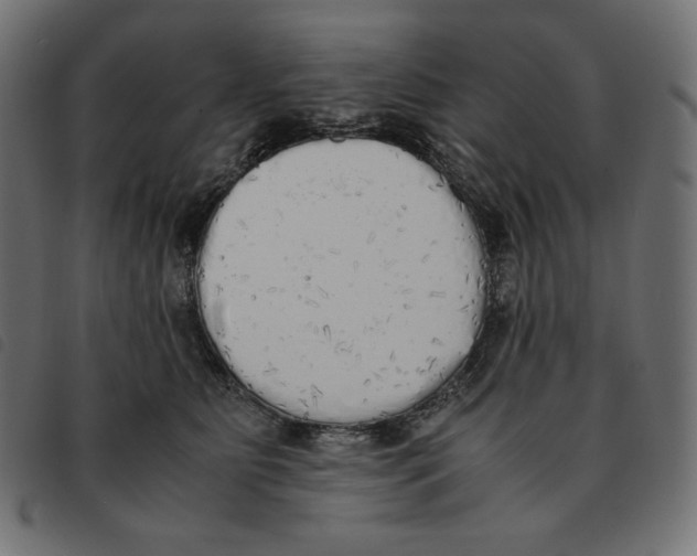 X0000092330515200710121536