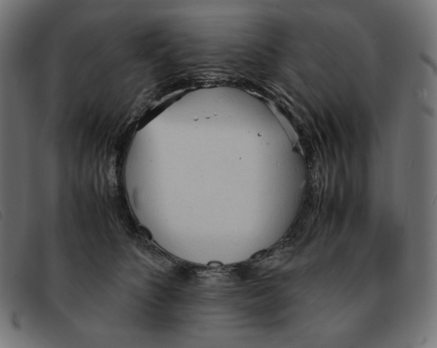X0000092330516200710121536