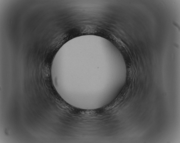 X0000092330517200710121536