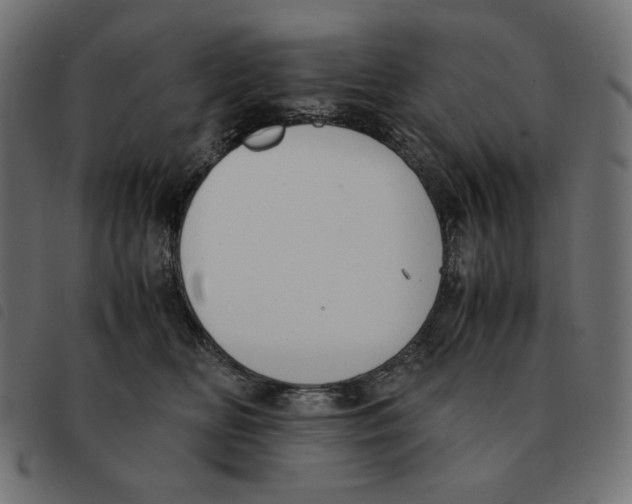 X0000092330518200710121536