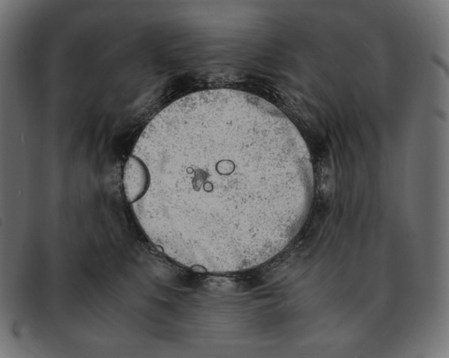 X0000092330519200710121536