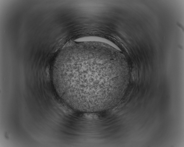 X0000092330520200710121536