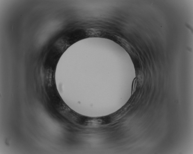 X0000092330525200710121536