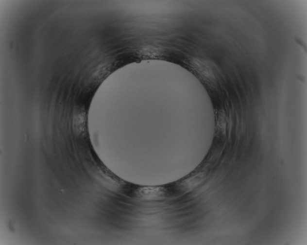 X0000092330526200710121536