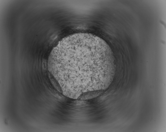 X0000092330528200710121536