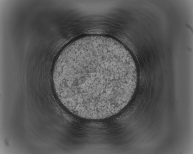 X0000092330529200710121536