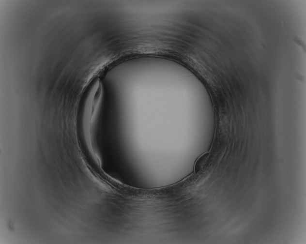 X0000092330530200710121536