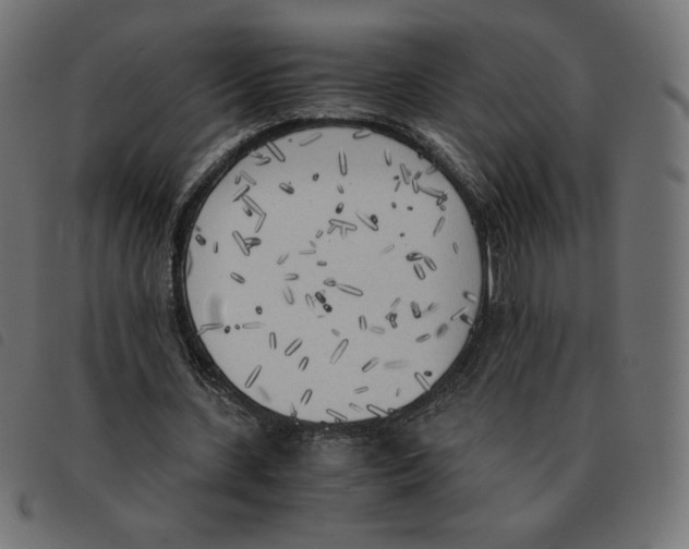 X0000092330531200710121536