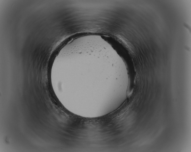 X0000092330532200710121536