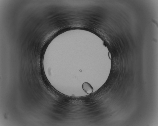 X0000092330535200710121536